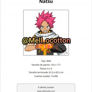 Natsu Dragneel